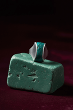 ring 028