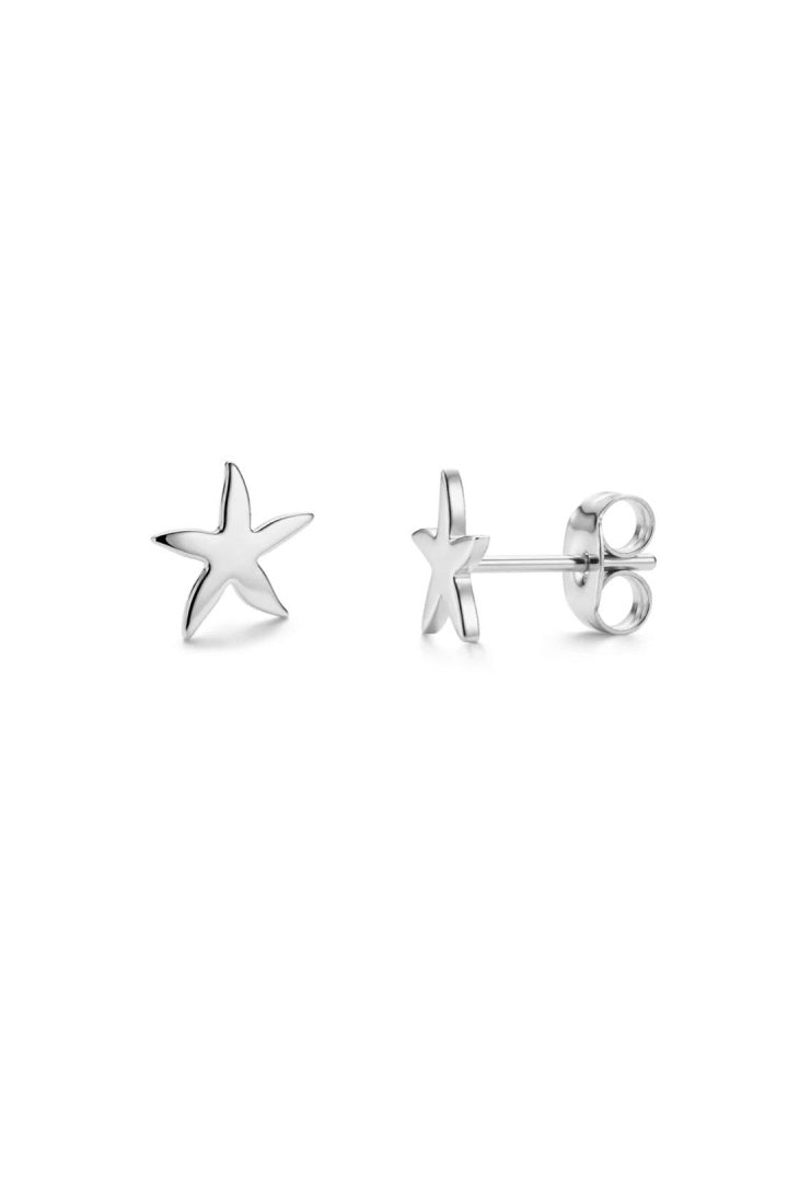 Mini clous d'oreilles étoile de mer