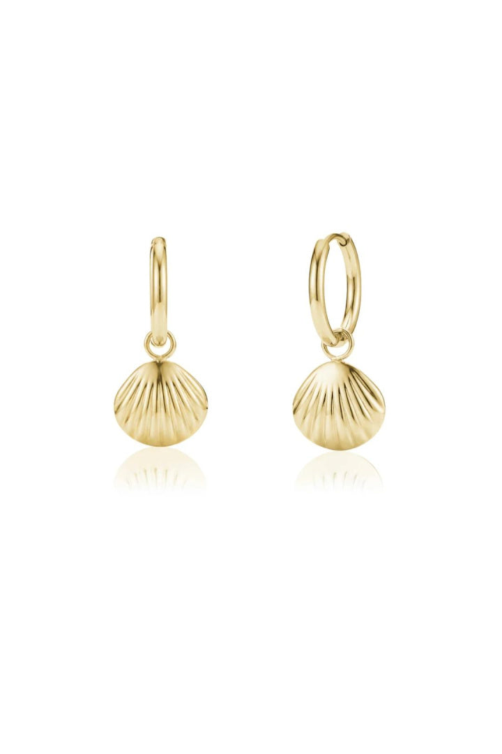Pendientes de aro con charm de concha marina