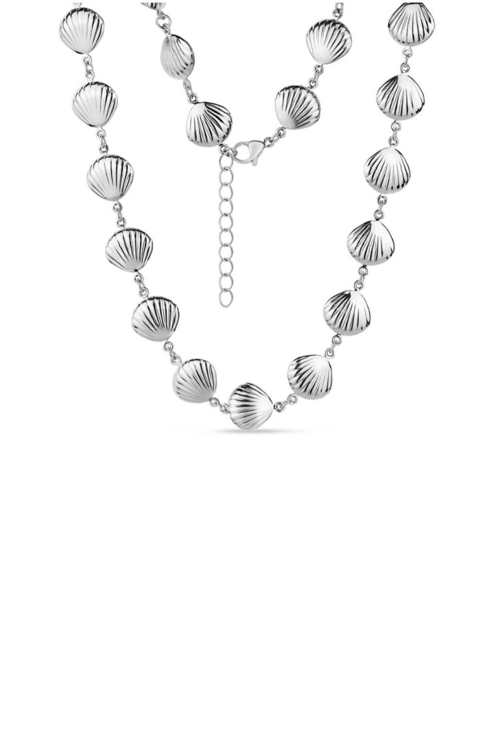 Collar con dije de concha marina