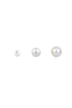 Shell Pearl Stud Earrings