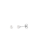 Shell Pearl Stud Earrings