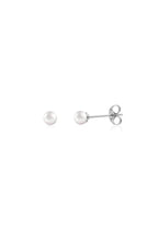 Shell Pearl Stud Earrings